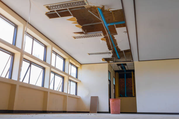 Best Mold removal after water damage  in Oak Leaf, TX