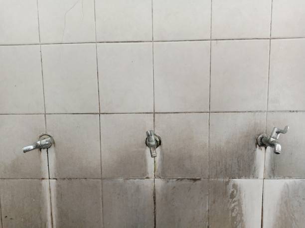 Best Water damage restoration cost  in Oak Leaf, TX