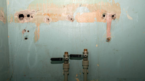 Best 24-hour water damage restoration  in Oak Leaf, TX