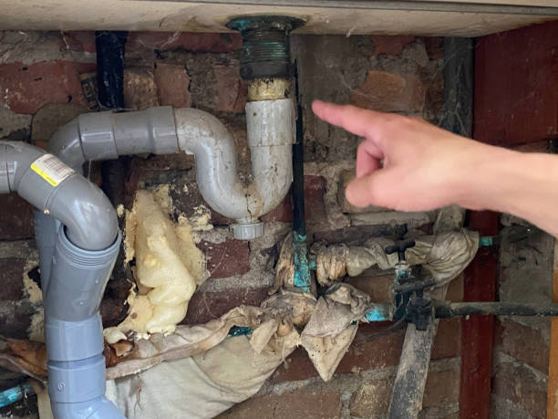 Best Local water damage restoration  in Oak Leaf, TX