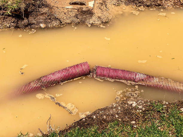 Carpet water damage restoration in TX